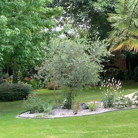 Labrege T2duplex Piscine Sargé Les Le Mans